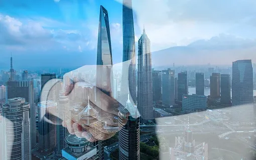 شبكة شركاء الخدمة العالمية: